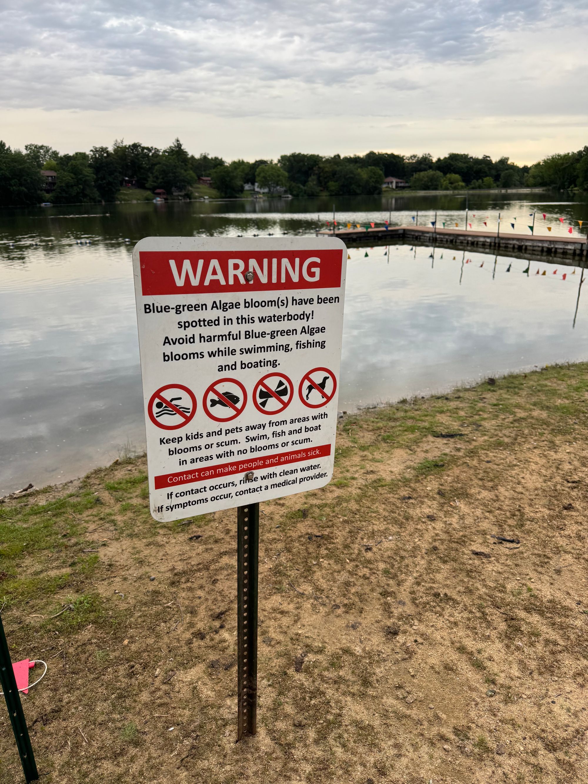 Blue Green Algae in Echo Lake