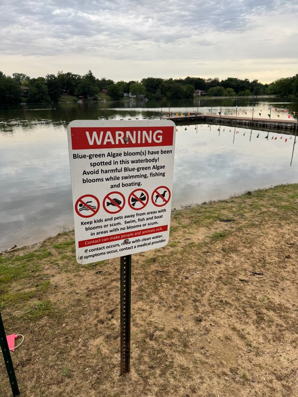 Blue Green Algae in Echo Lake