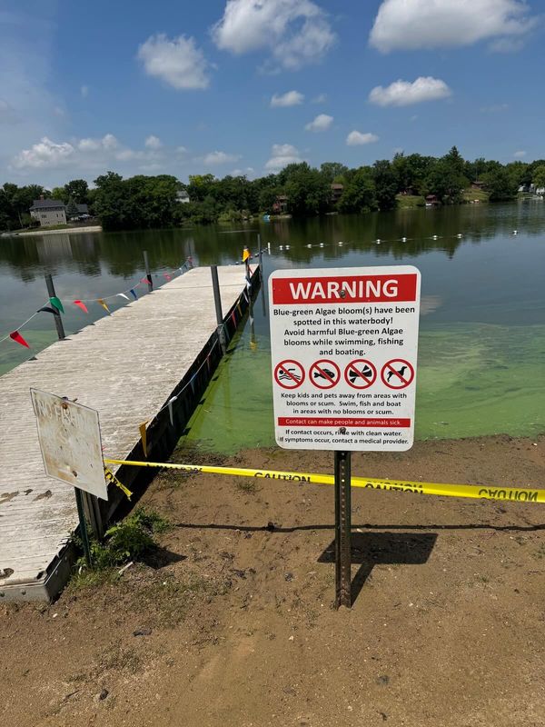 Caution: Blue Green Algae in Echo Lake